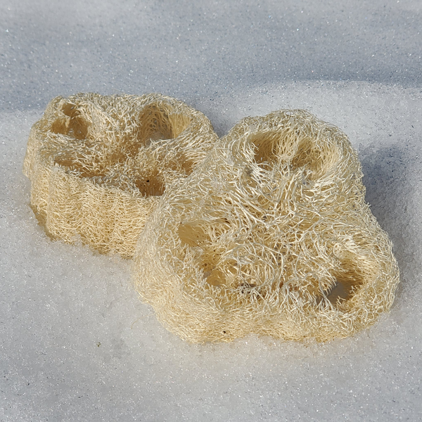 Loofah Soap Lifts