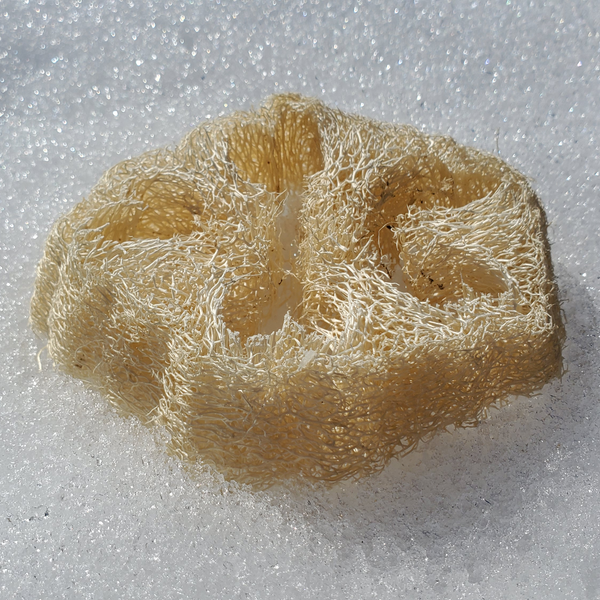 Loofah Soap Lifts